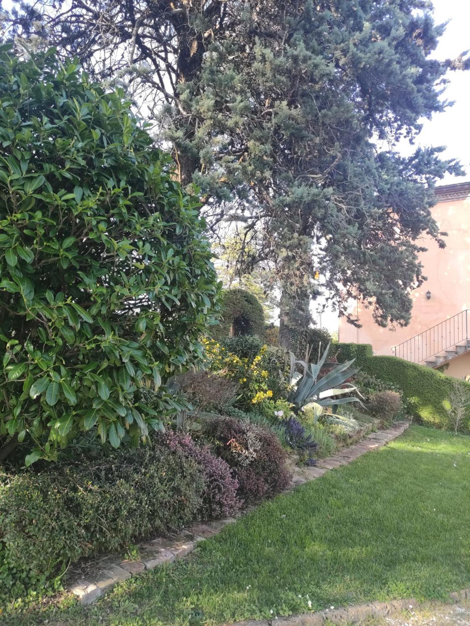 La Pergola Bed and Breakfast Becedasco Buitenkant foto